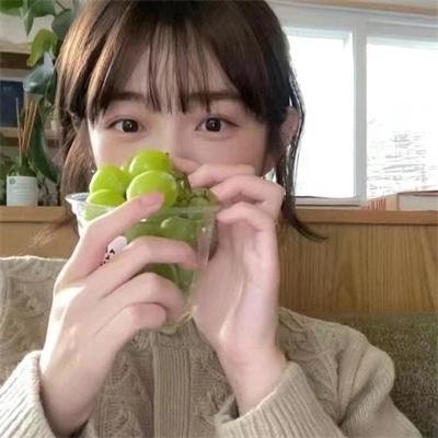 镜狮子